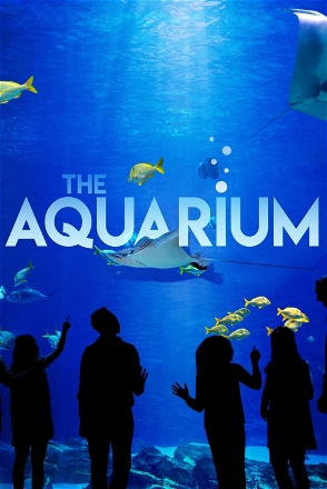 Aquarium