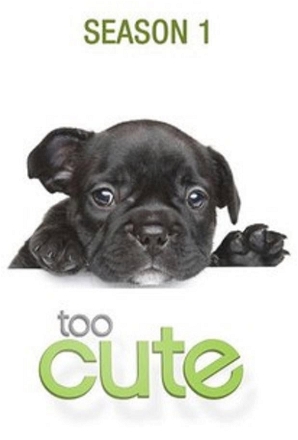 Puppies
