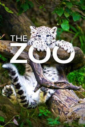 The Zoo_0003