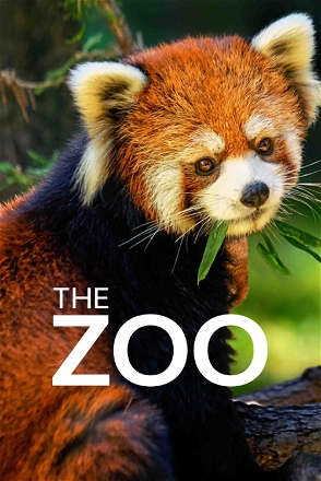 The Zoo_0004